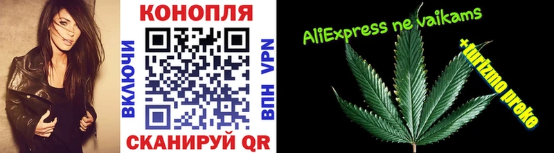 Как найти закладки Нязепетровск Псилоцибиновые грибы  A-PVP  Марихуана  Мефедрон  COCAIN 